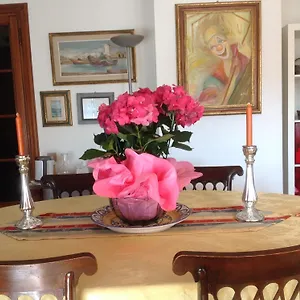 Dei Cavalieri Piza
